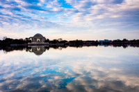Jefferson Cherry Blossom-2