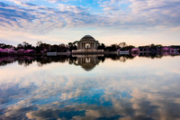 Jefferson Cherry Blossom-3